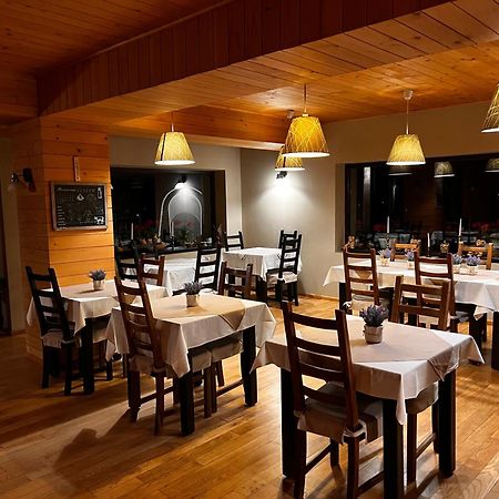 Bucovina Lodge Pension Vama  Exteriör bild