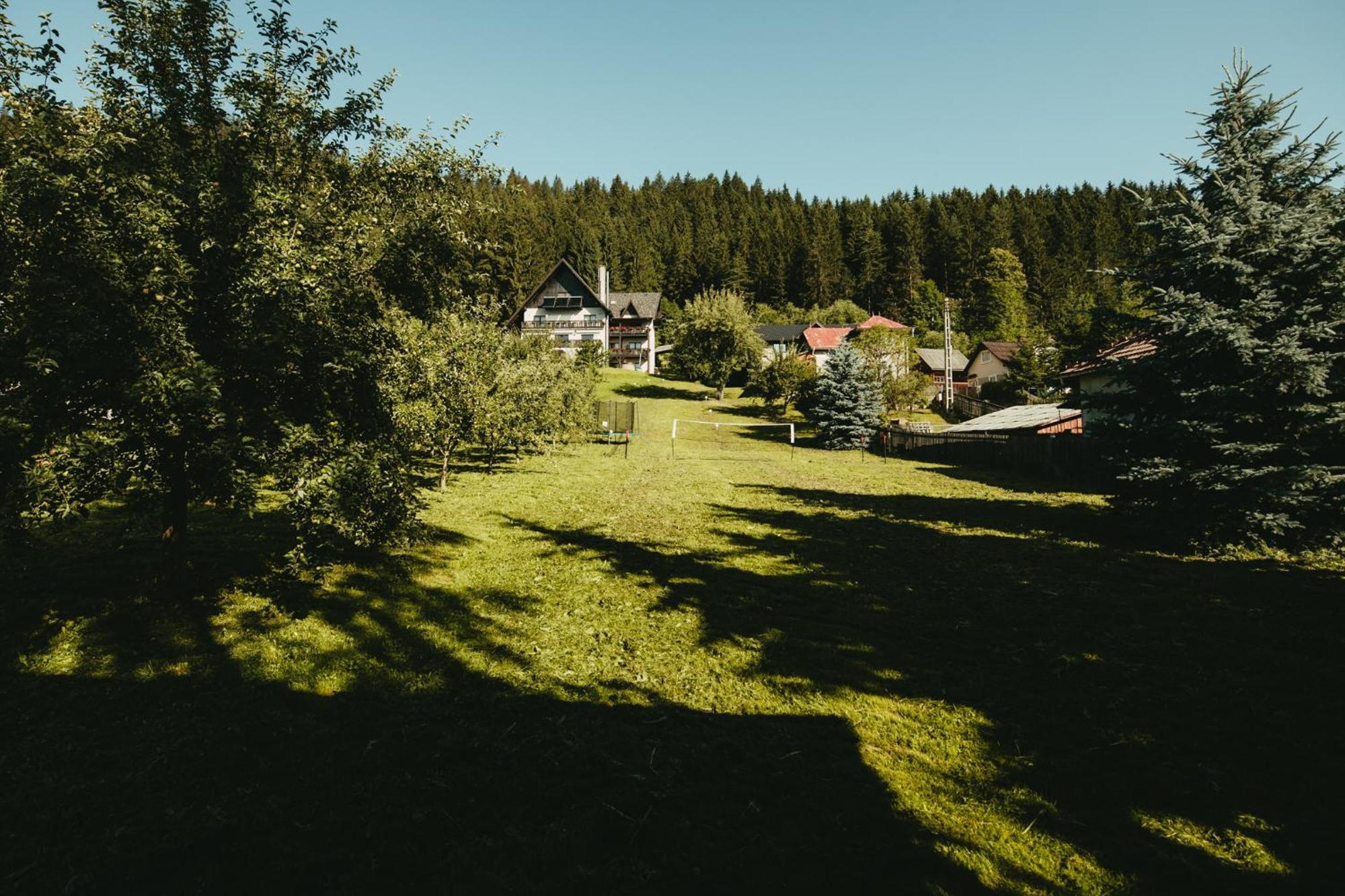 Bucovina Lodge Pension Vama  Exteriör bild