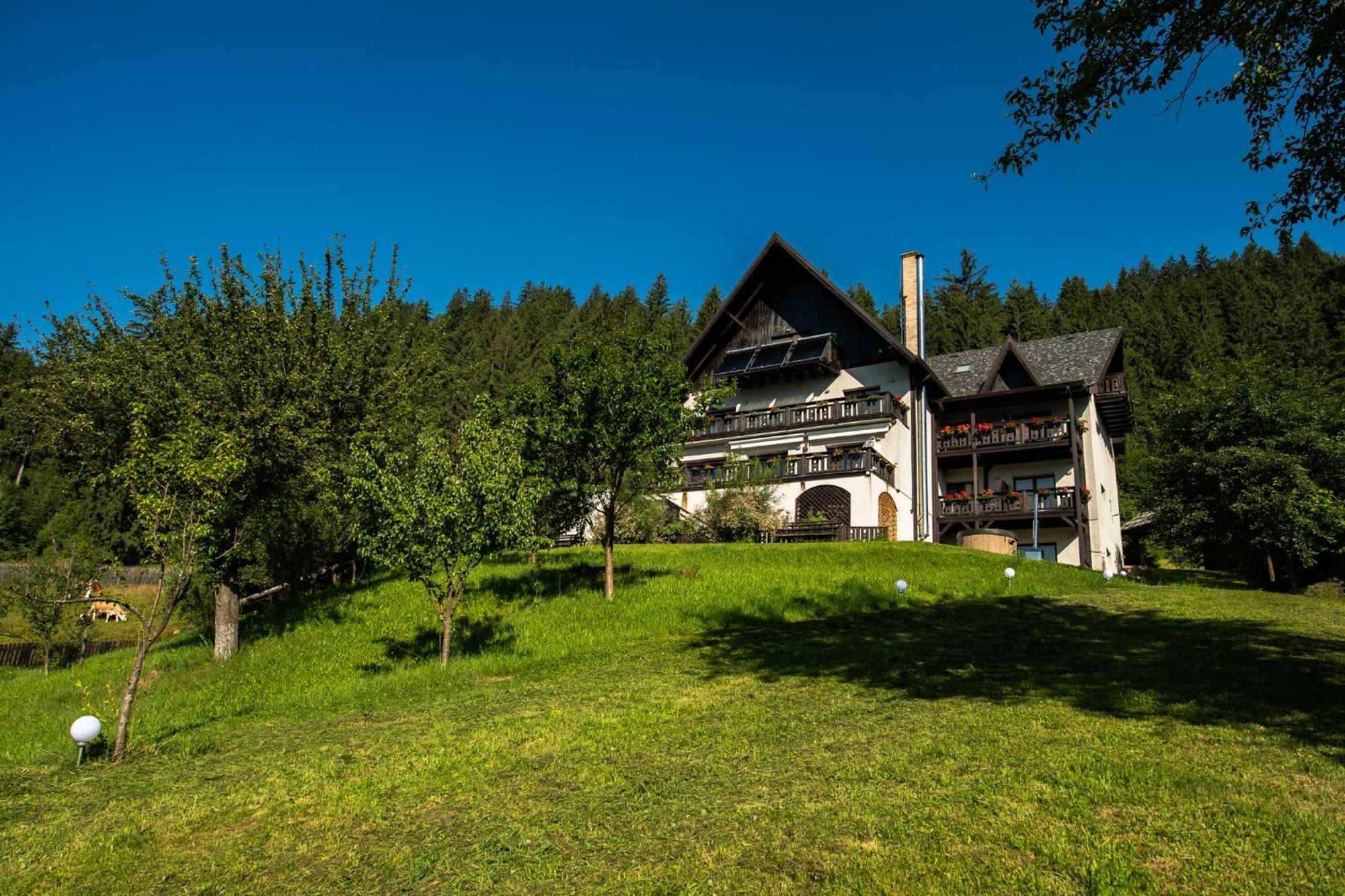 Bucovina Lodge Pension Vama  Exteriör bild