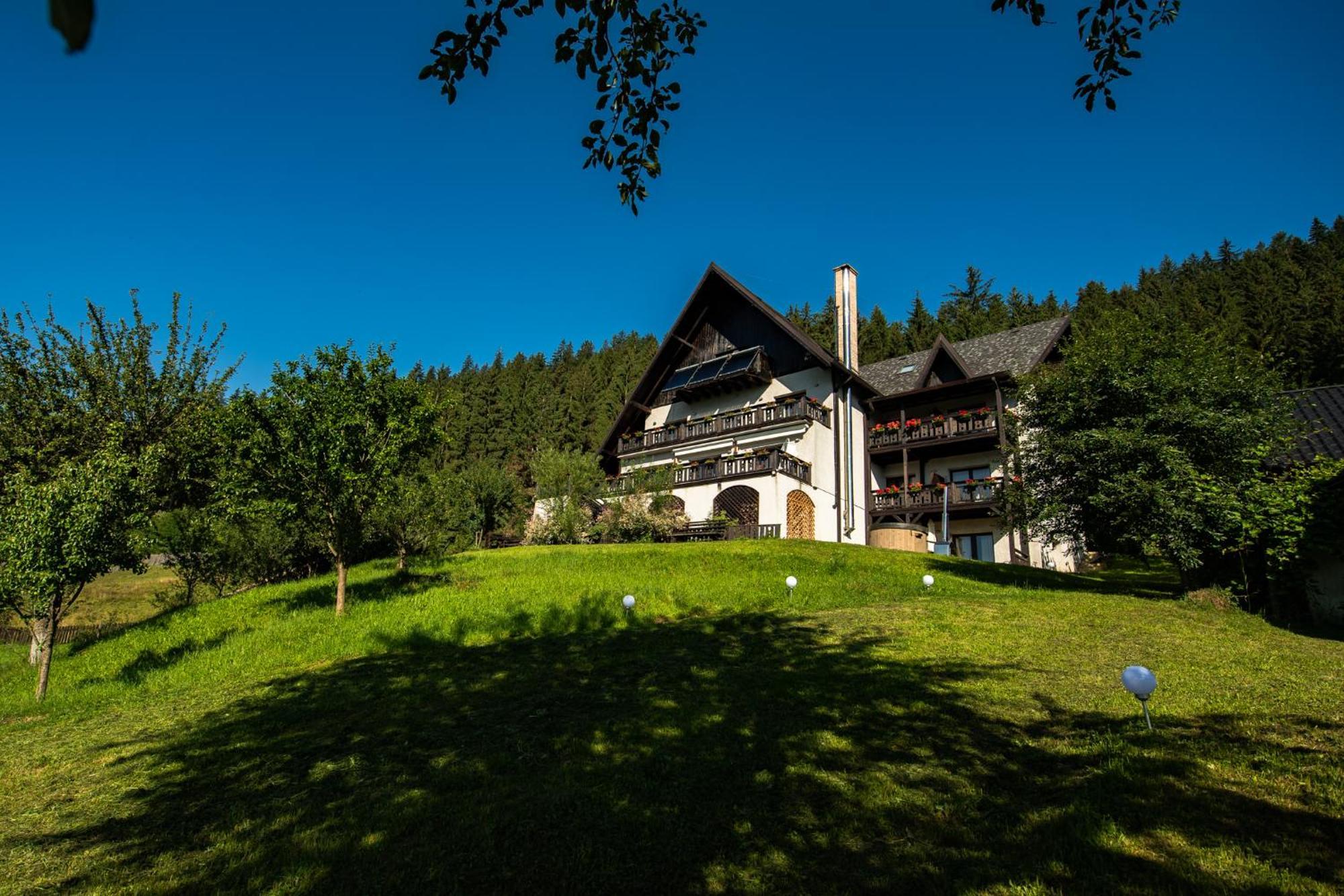 Bucovina Lodge Pension Vama  Exteriör bild
