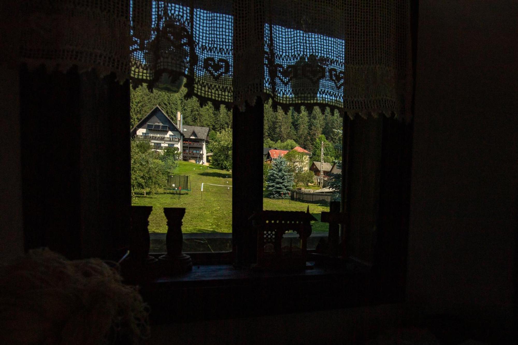 Bucovina Lodge Pension Vama  Exteriör bild